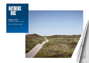 Bilag 1 - Bevillingsoversigter