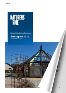 Årsrapport 2025